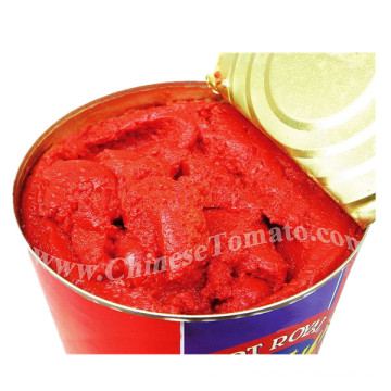 Gino Brand 400g Canned Tomato Paste of High Quality